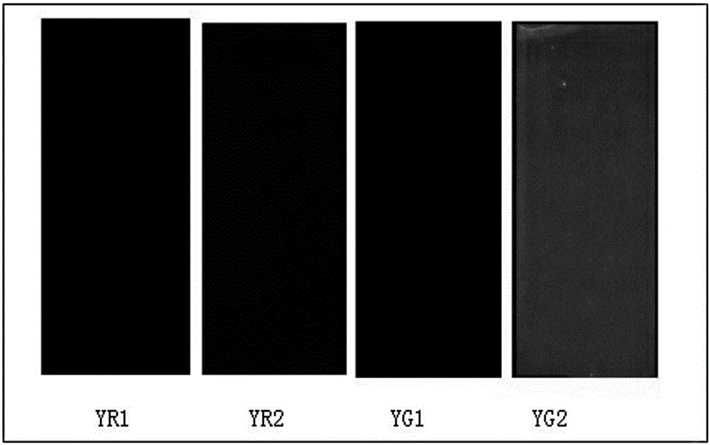 Method for regulating nitration substitution degree of nitrocellulose