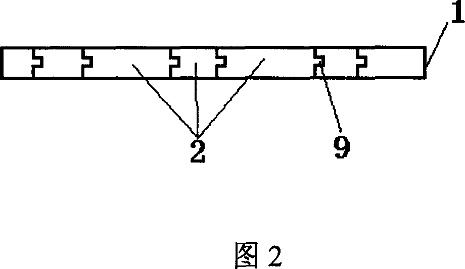 Lumber and the processing method