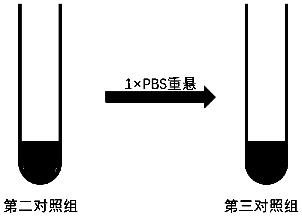 A method for detecting red blood cell DNA damage signal and its application in lymphoma prognosis