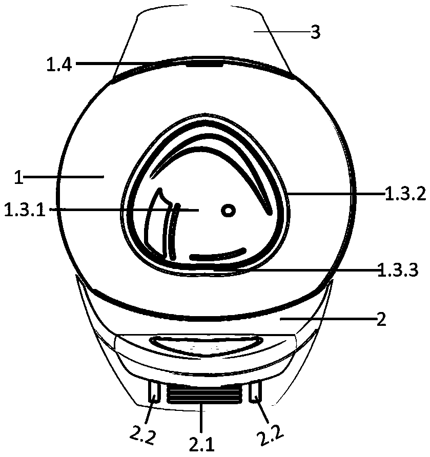 Intelligent cat toilet capable of using strip-shaped cat litter