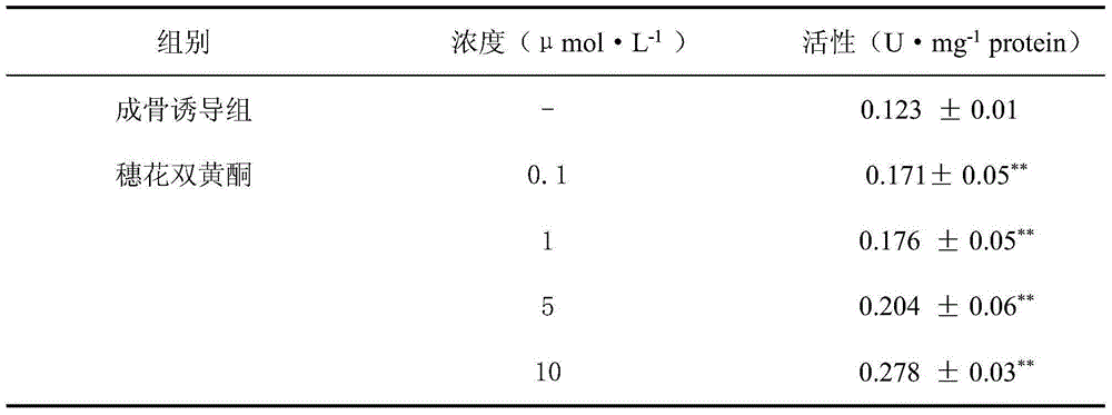 Method of testing amentoflavone in preparation of bone tissue engineering seed cells