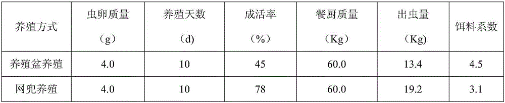 Method for culturing hermetia illucens in net bag