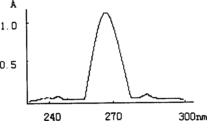 Process for preparing conjugated fatty acid