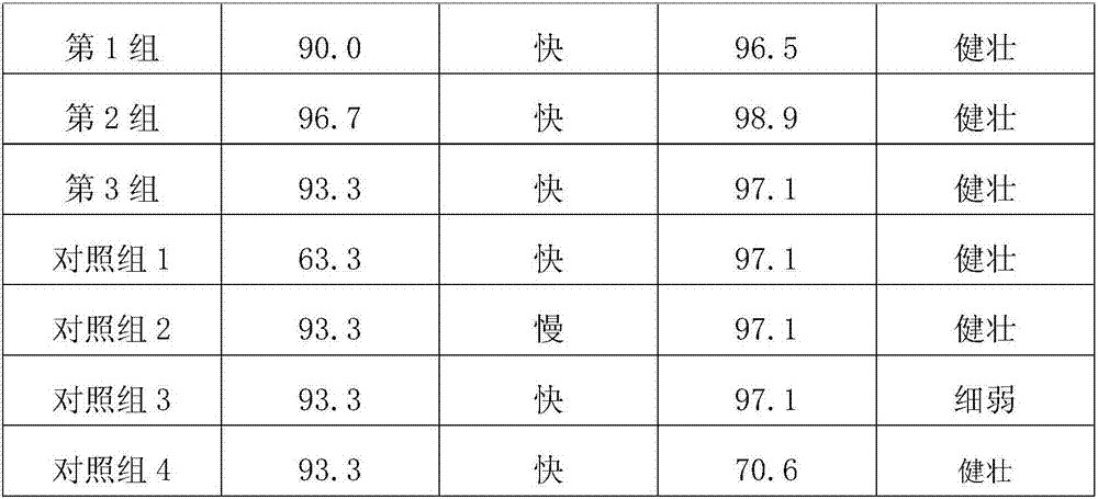 Rapid propagation method of Oryzarufipogon Griff by tissue culture