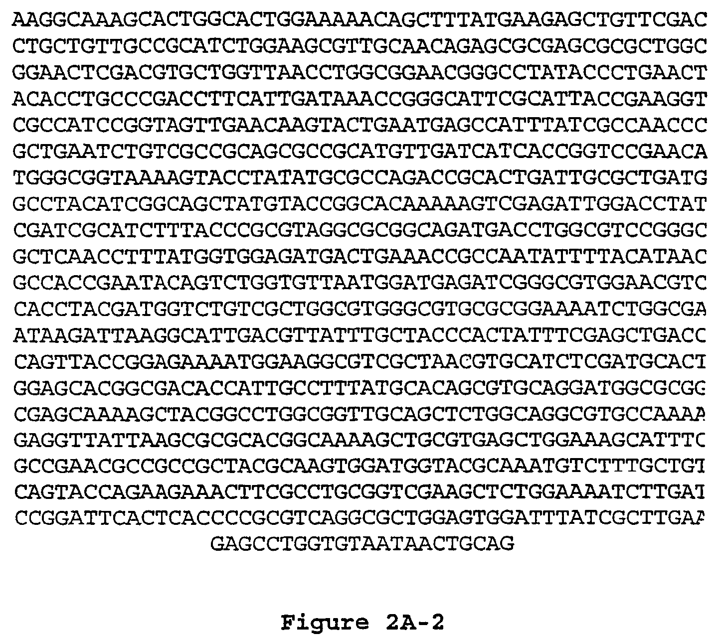 Modifying DNA recombination and repair