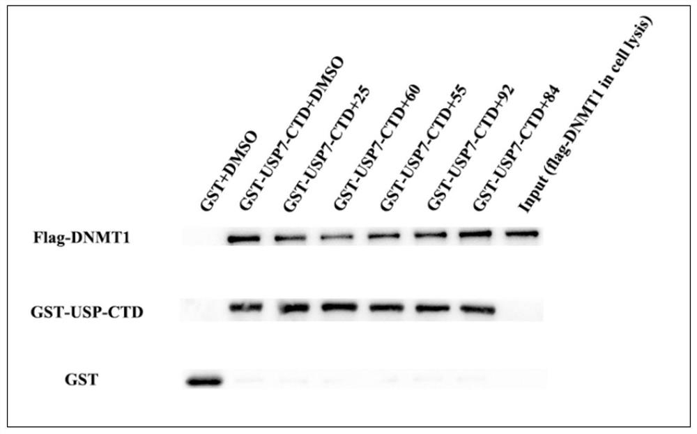 Benzothiazole compound and medical application