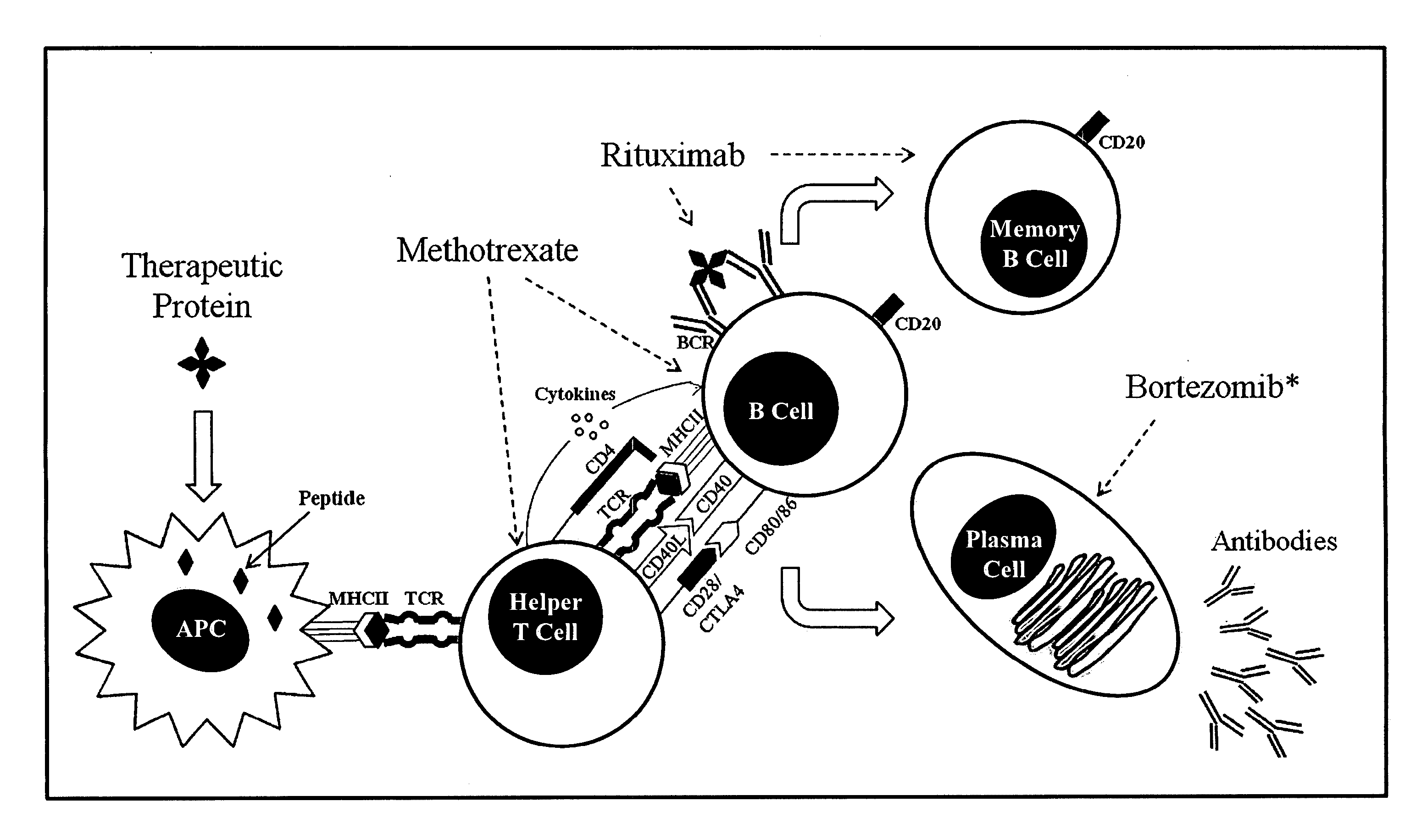 Method of treating patients undergoing protein replacement therapy, gene replacement therapy, or other therapeutic modalities