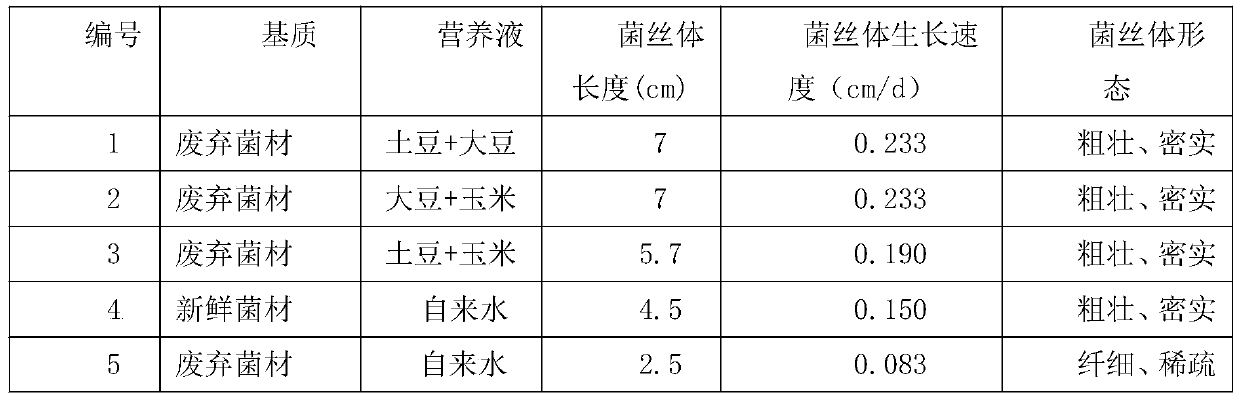 Method for producing halimasch strain by utilizing waste gastrodia elata fungi