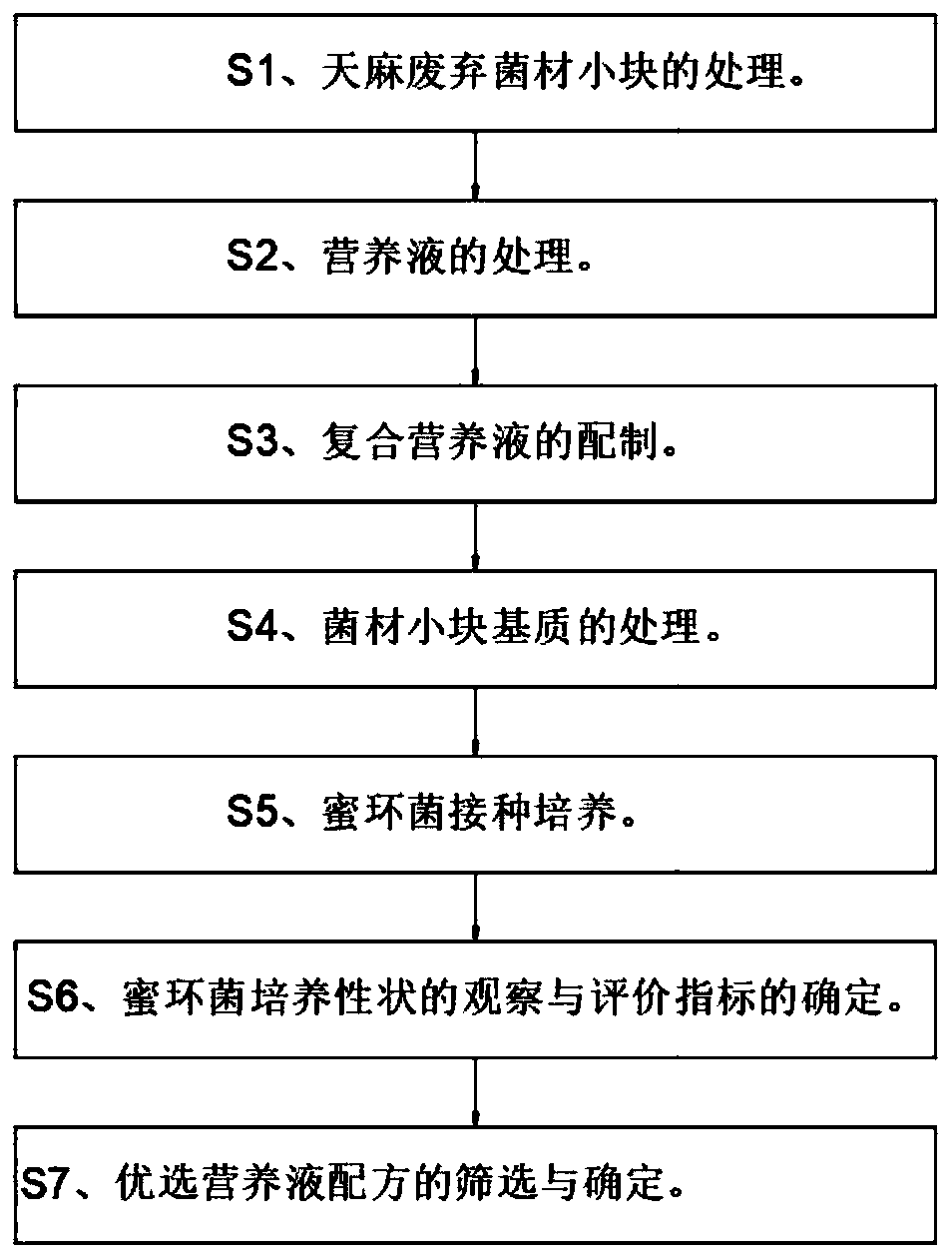 Method for producing halimasch strain by utilizing waste gastrodia elata fungi