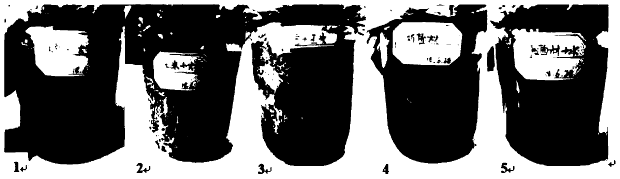 Method for producing halimasch strain by utilizing waste gastrodia elata fungi