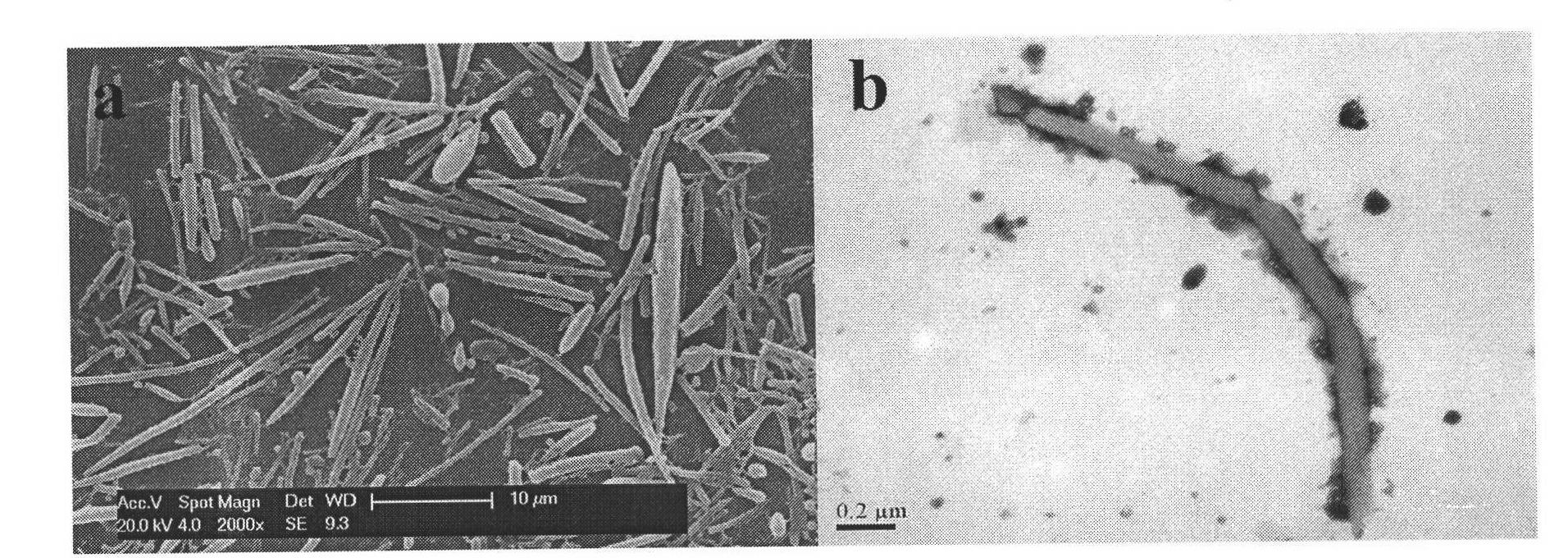 Non-spherical drug-loaded particles and controlled release preparation of lactyl polymer and preparation methods thereof