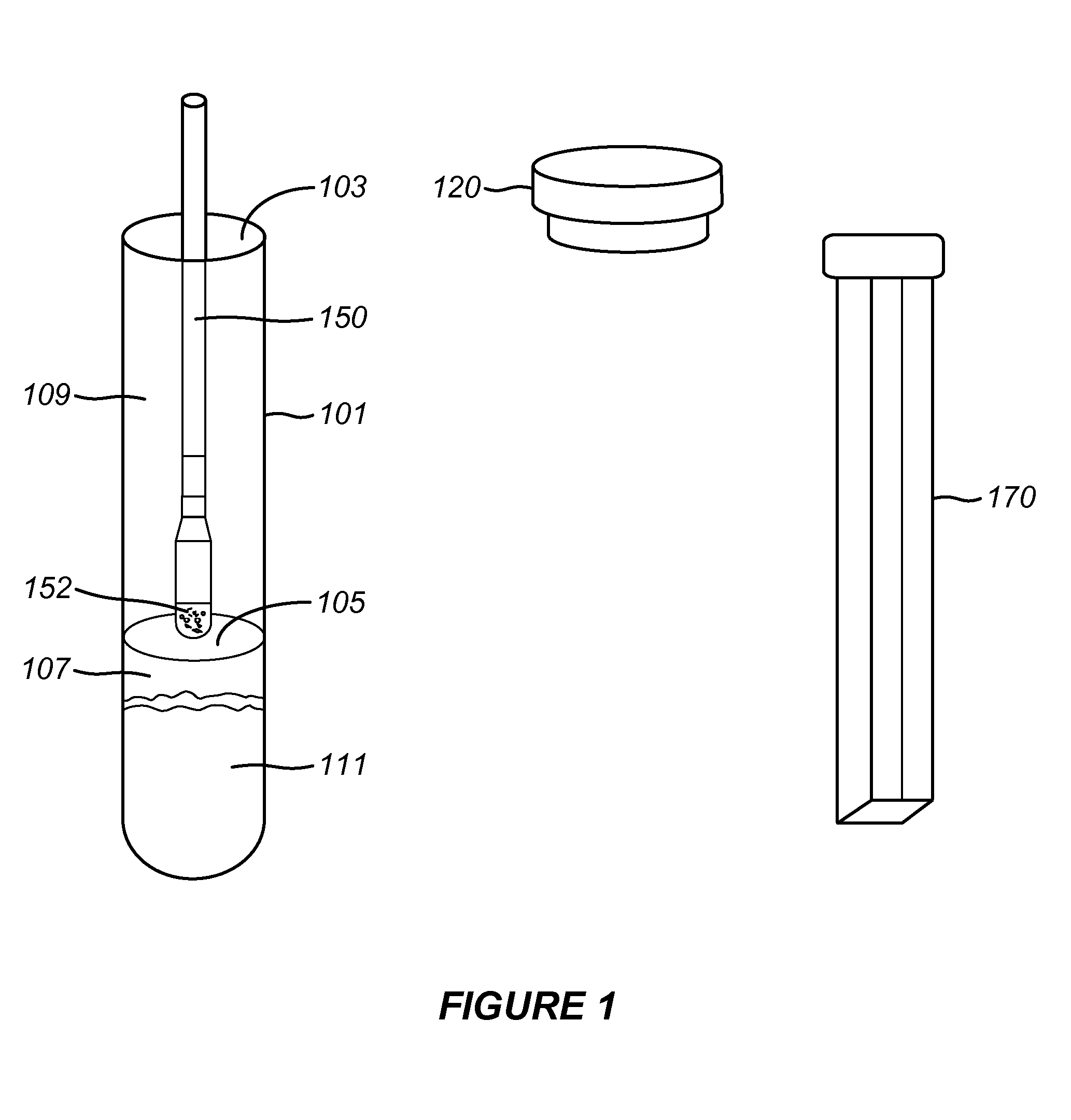 Saliva-derived measures of telomere abundance and sample collection device