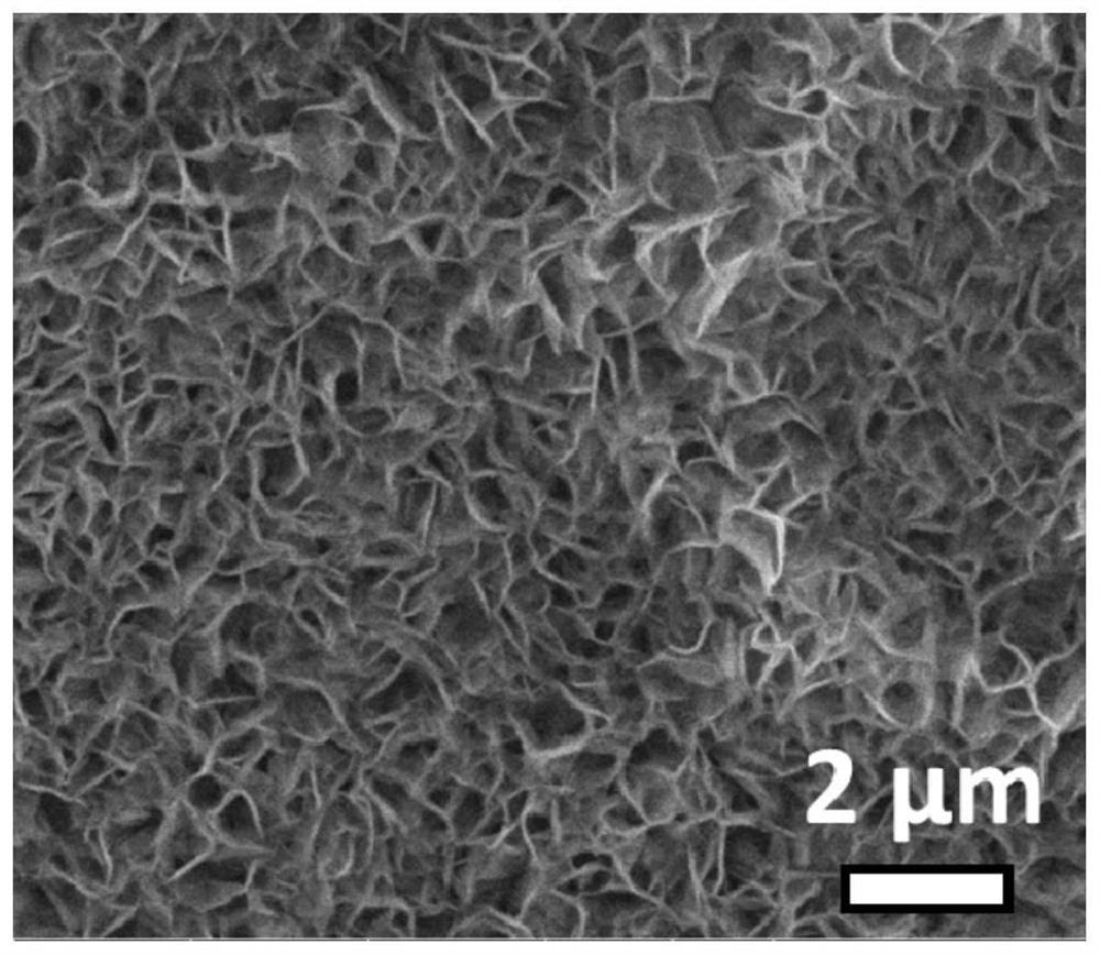 Preparation method of self-supporting bifunctional water electrolysis catalyst