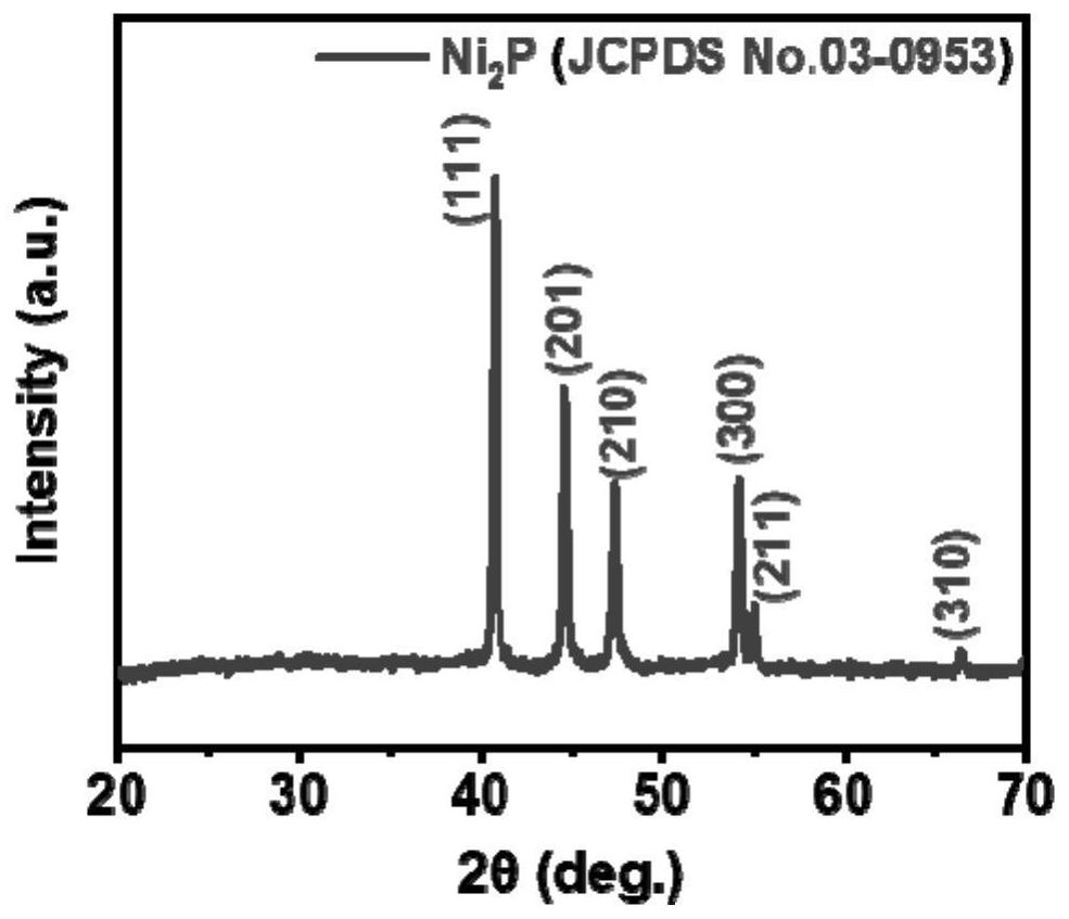 Preparation method of self-supporting bifunctional water electrolysis catalyst