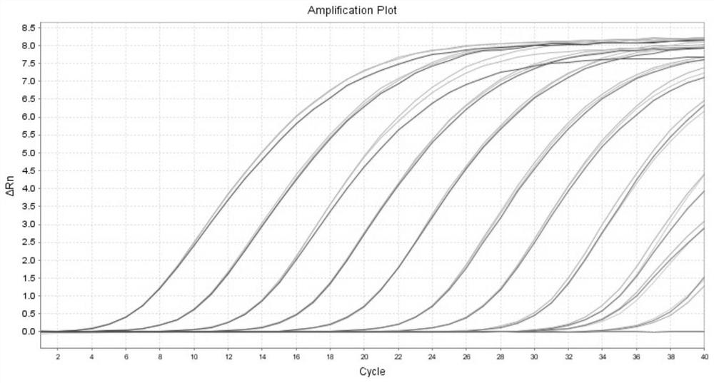 Detection method for detecting bovine coronavirus