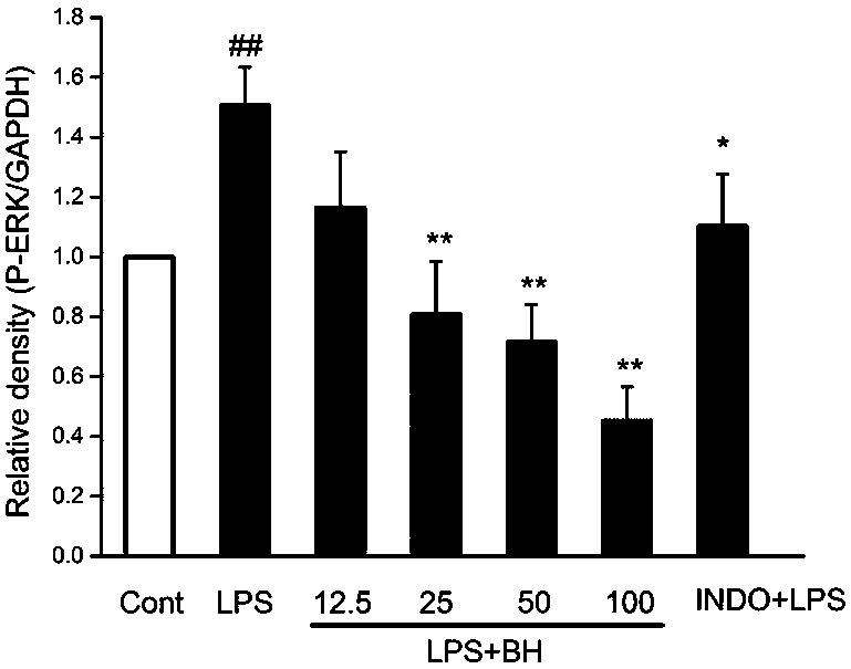 Application of Artemisia marina extract as a drug for the preparation of pneumonia caused by Streptococcus pneumoniae or/and B-hemolytic Streptococcus