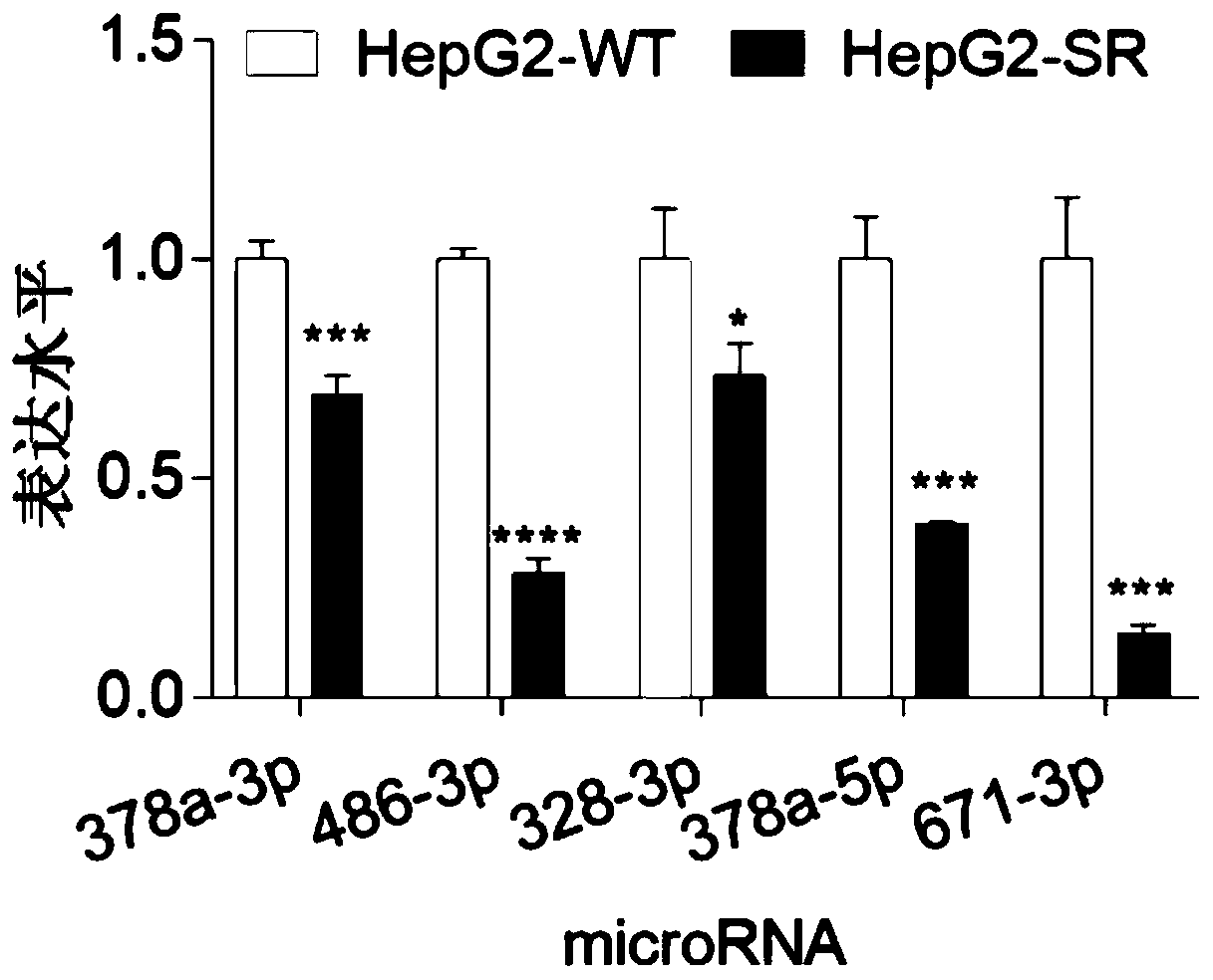 miRNA marker related to liver cancer sorafenib resistance and application of miRNA marker