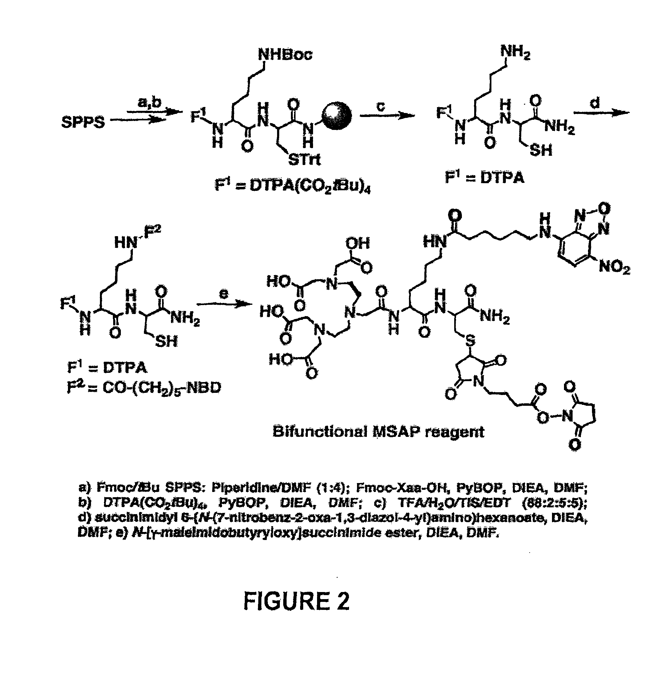 Methods and Reagents for Preparing Multifunctional Probes