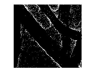 Nitrogen-doped graphene nanoribbon and preparation method thereof