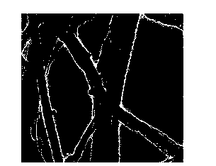 Nitrogen-doped graphene nanoribbon and preparation method thereof