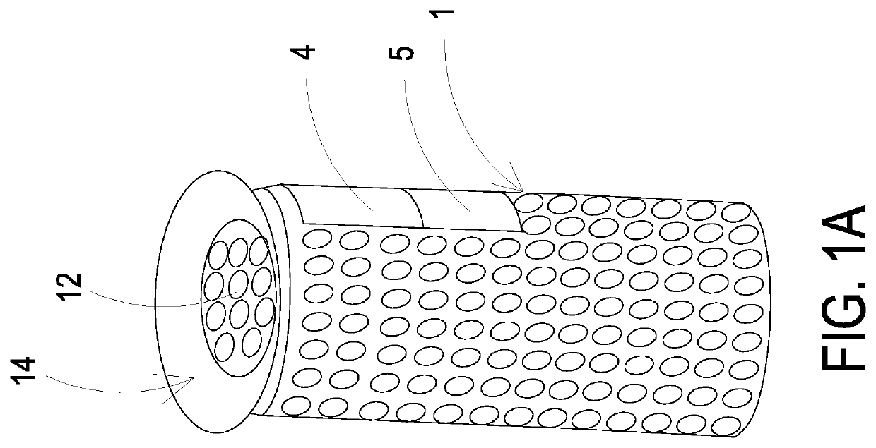 Purification device for exercise environment