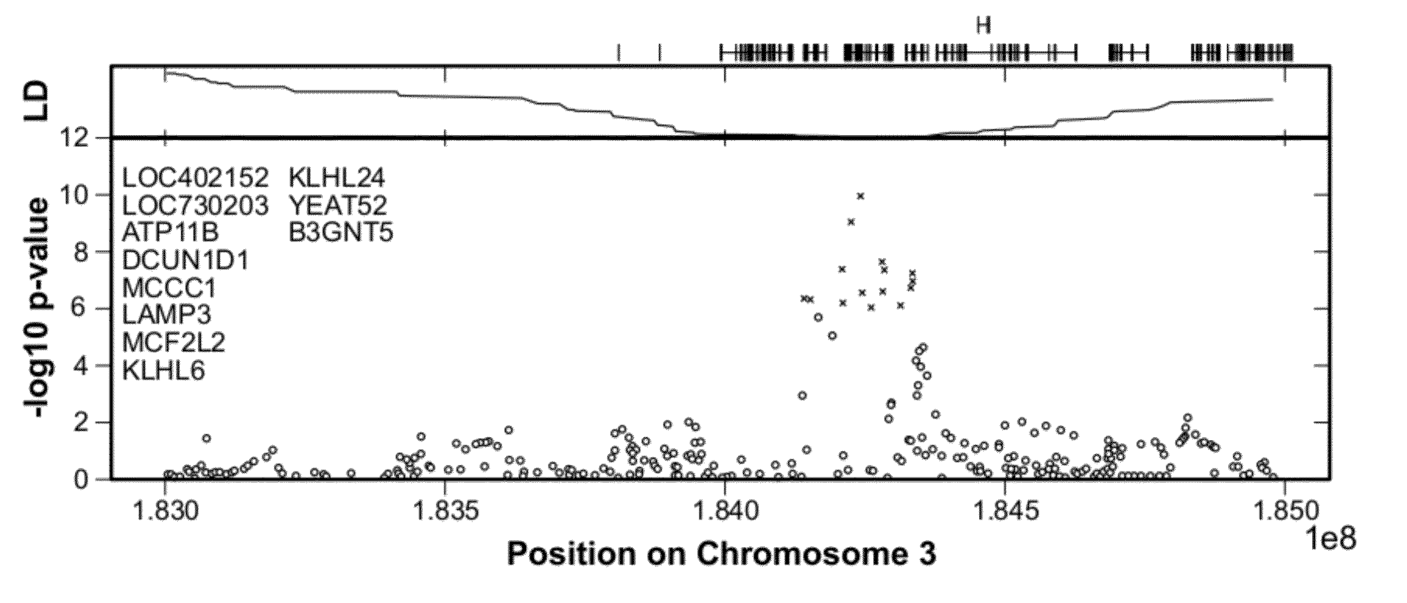 Polymorphisms associated with Parkinson's disease