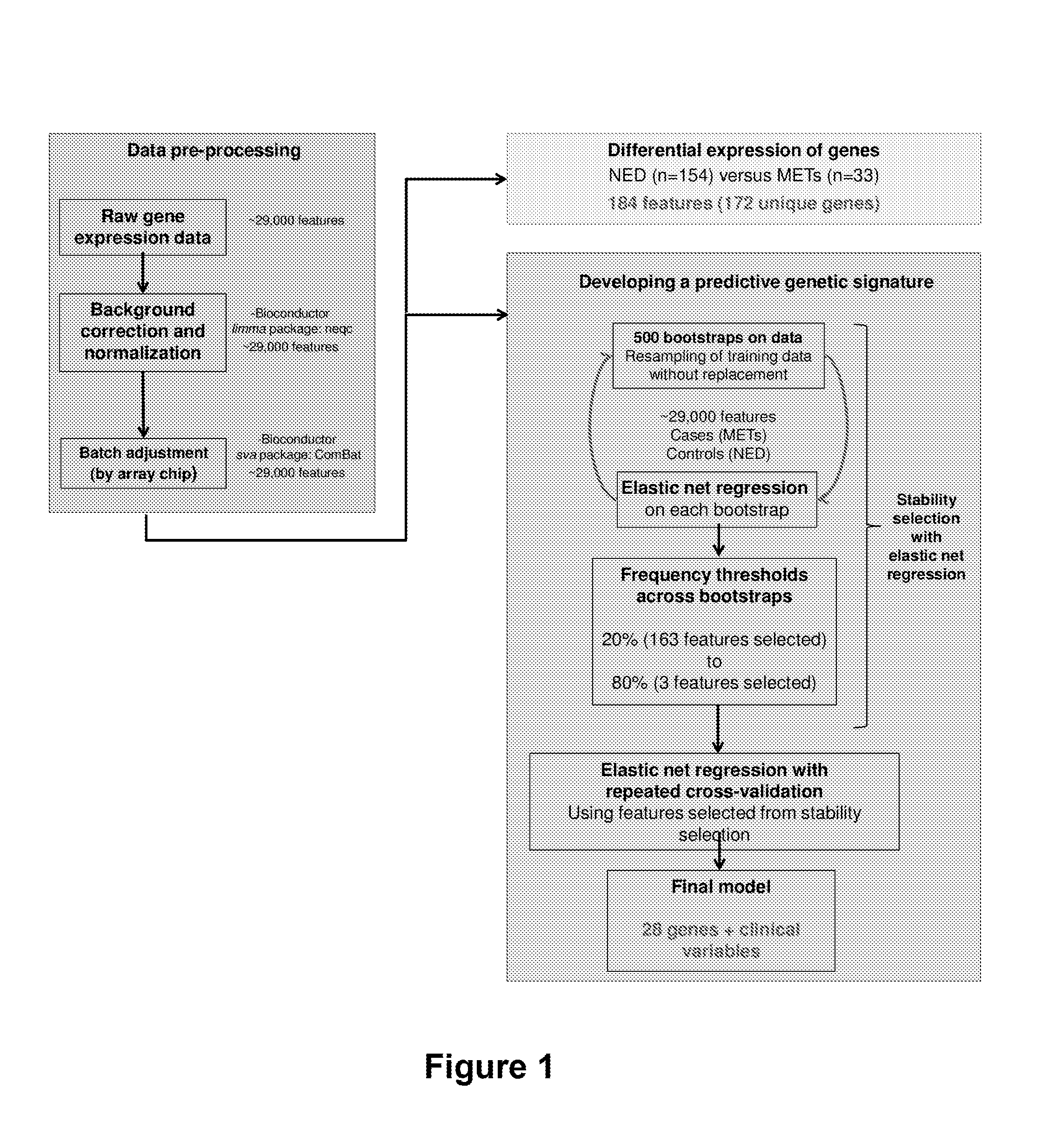 Gene expression panel for prognosis of prostate cancer recurrence