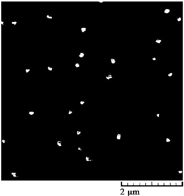 Folic acid modified chitosan quaternary ammonium salt-taxol polymer medicine, as well as preparation method and application thereof