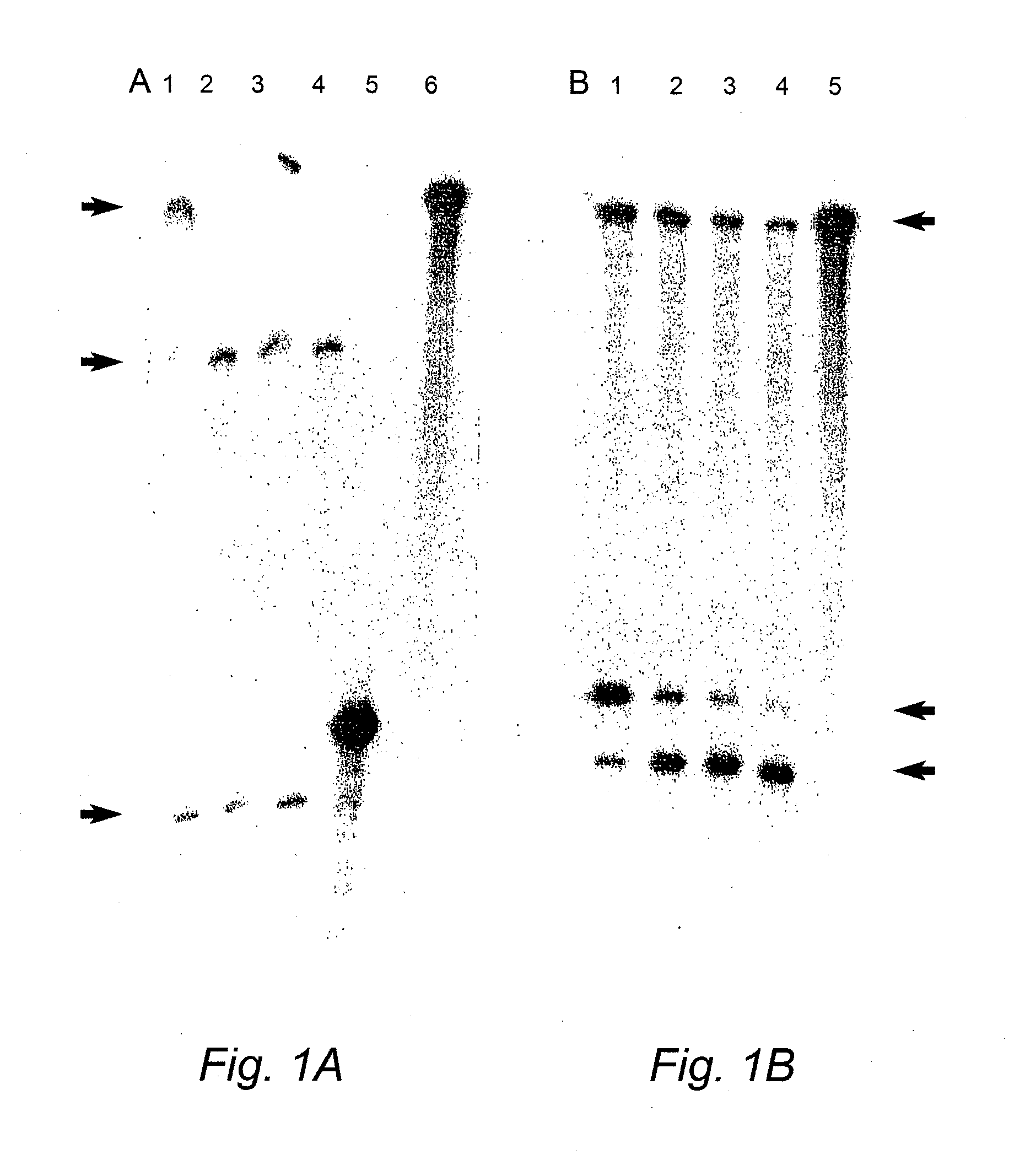 Genetic suppression and replacement