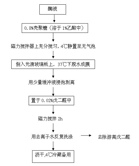 Preparation method and application of immobilized acidic urease membrane