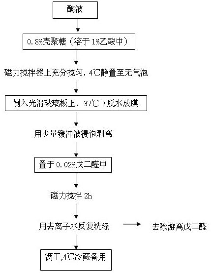 Preparation method and application of immobilized acidic urease membrane