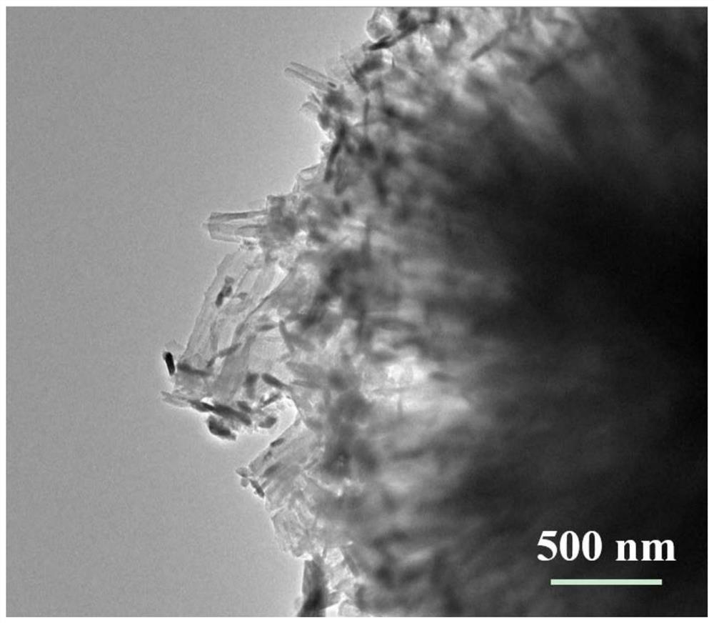 Preparation method of tin sulfide/nitrogen-doped flower-like carbon negative electrode material of lithium ion battery and product thereof