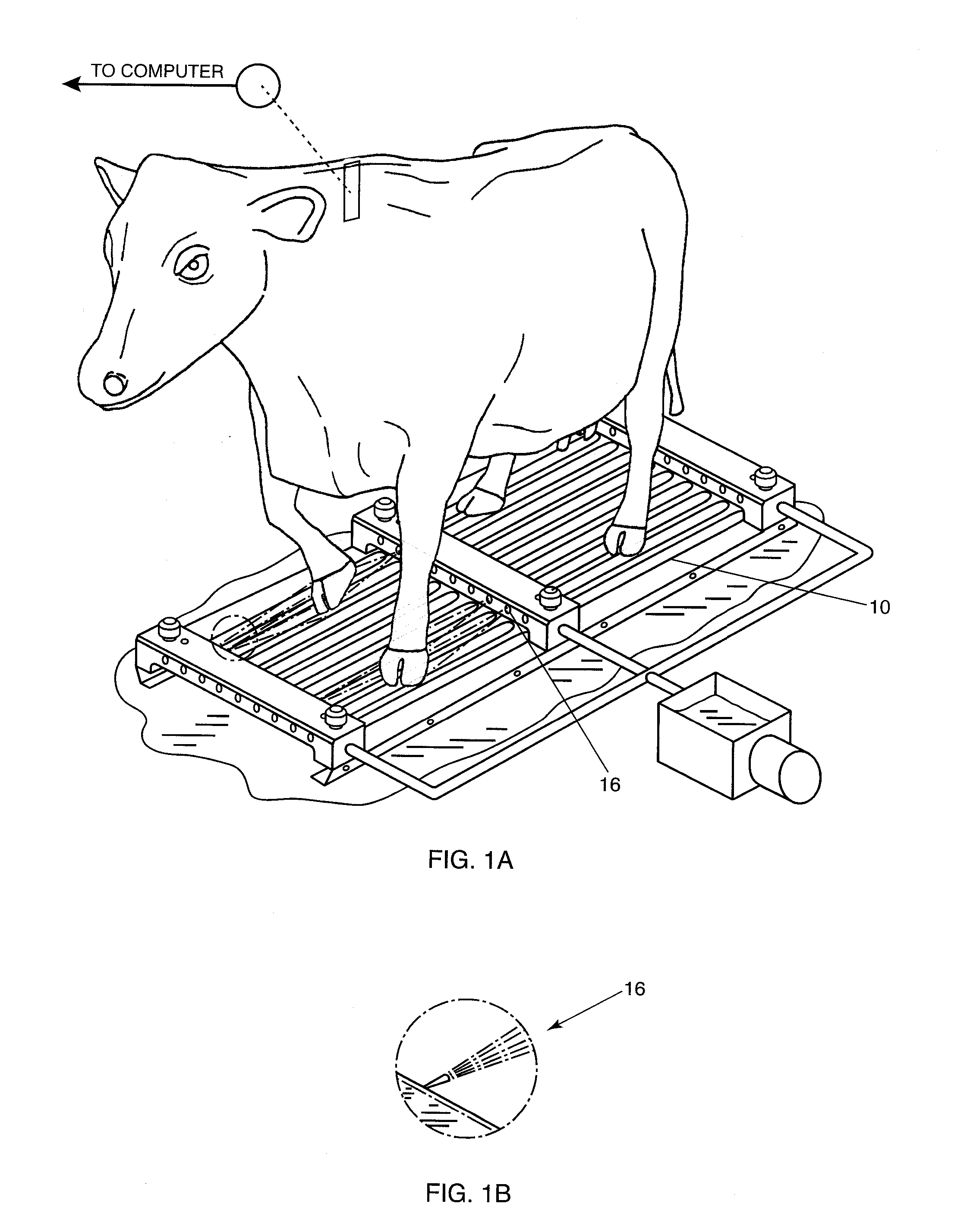 Method for the treatment of animals with hooves