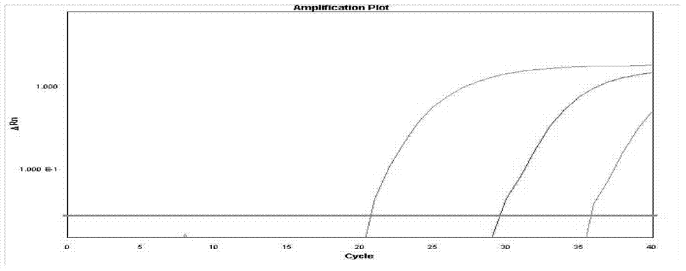 Plasmodium falci parum nano magnetic separation real-time fluorescence quantitative PCR (polymerase chain reaction) detection kit and nucleotide sequence