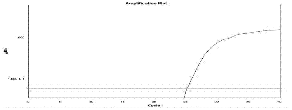 Plasmodium falci parum nano magnetic separation real-time fluorescence quantitative PCR (polymerase chain reaction) detection kit and nucleotide sequence