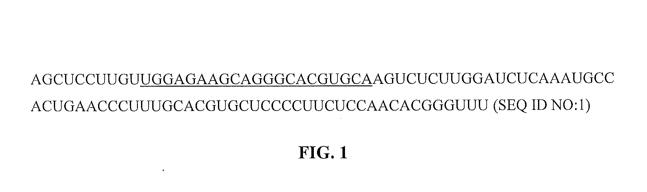 Overexpression of Plant Mirnas for Parasite Control