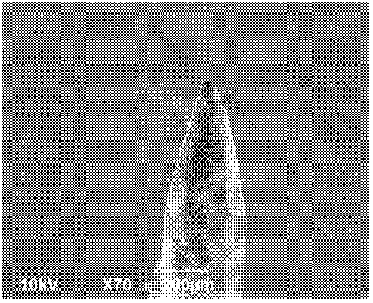 Nano-spraying electrode as well as manufacturing method and application thereof