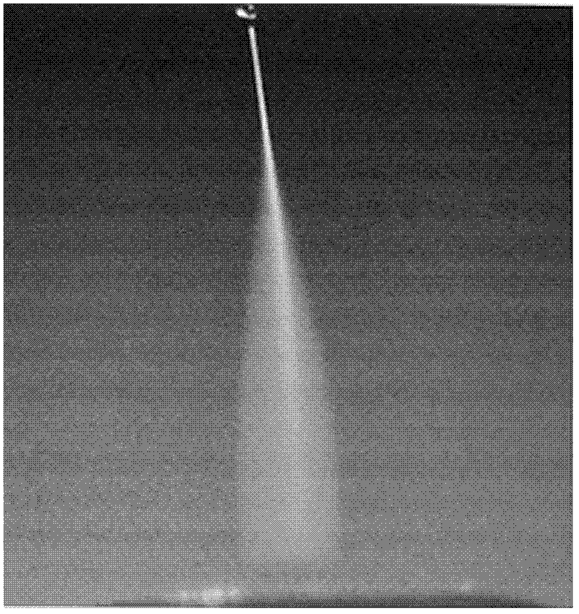 Nano-spraying electrode as well as manufacturing method and application thereof