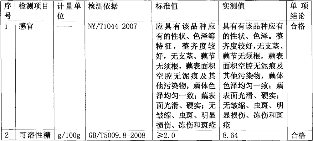 A kind of planting method of ecological environment protection shallow water lotus root