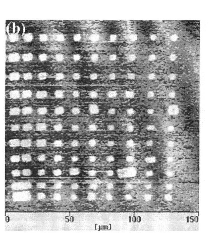 Etching device of micro-nano ferroelectric domain structure based on atomic force microscope acoustic microscopy system