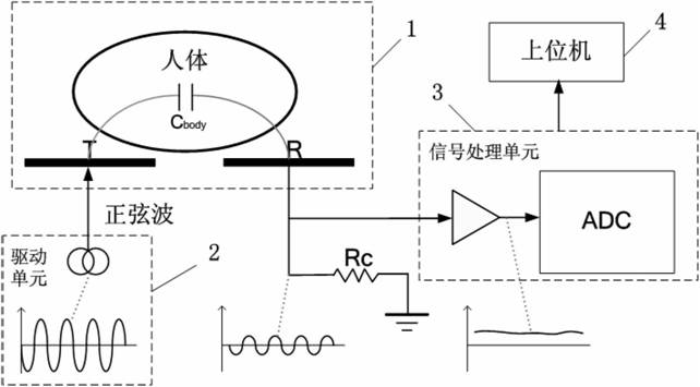 Capacitance sensing system for human body motion modal identification