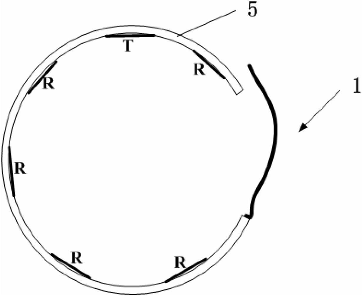 Capacitance sensing system for human body motion modal identification