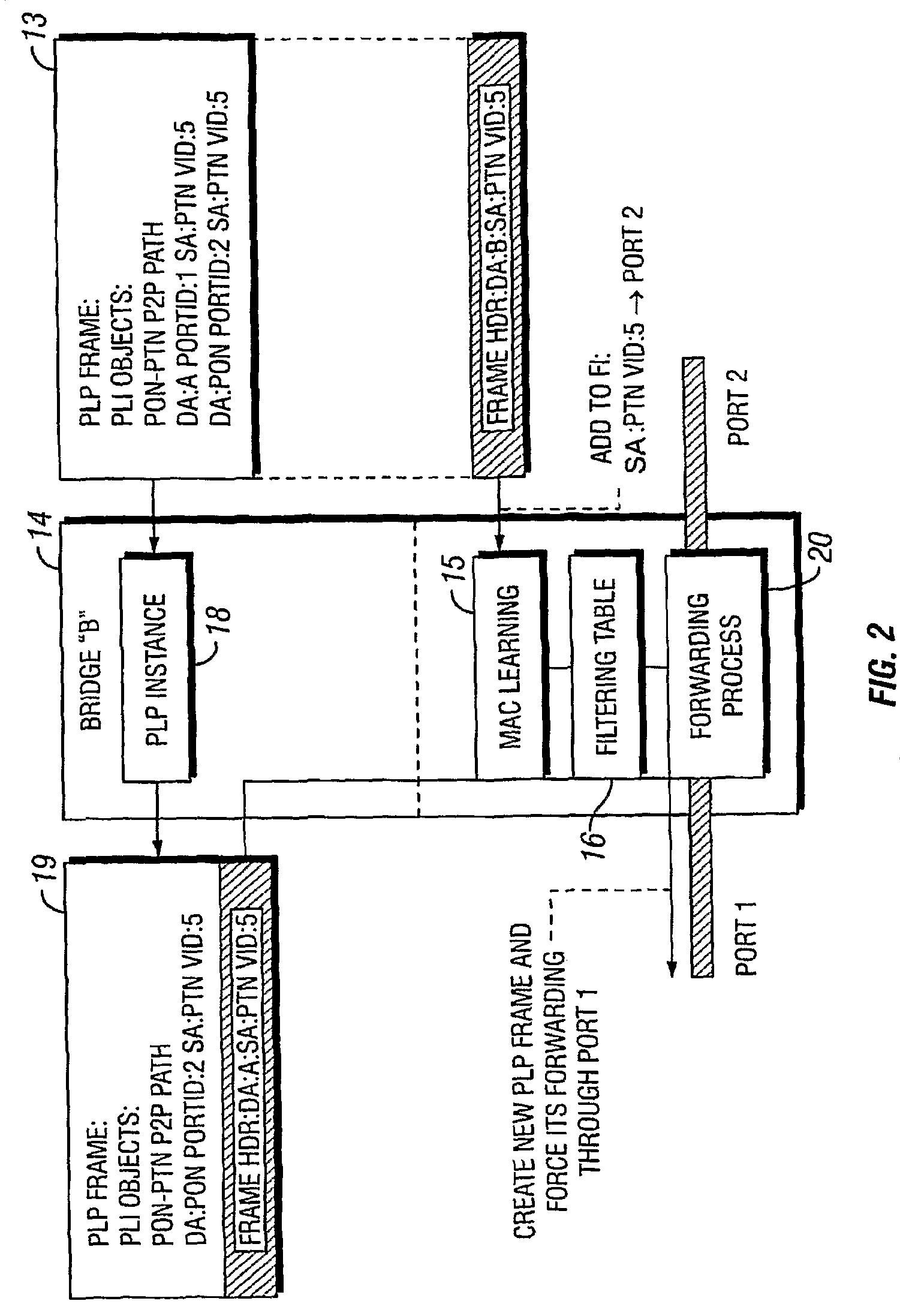 Forced medium access control (MAC) learning in bridged ethernet networks