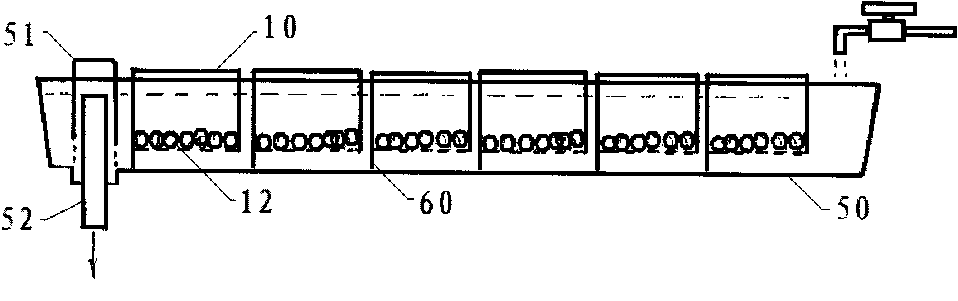 Technical method of triploid seed production of rainbow trout