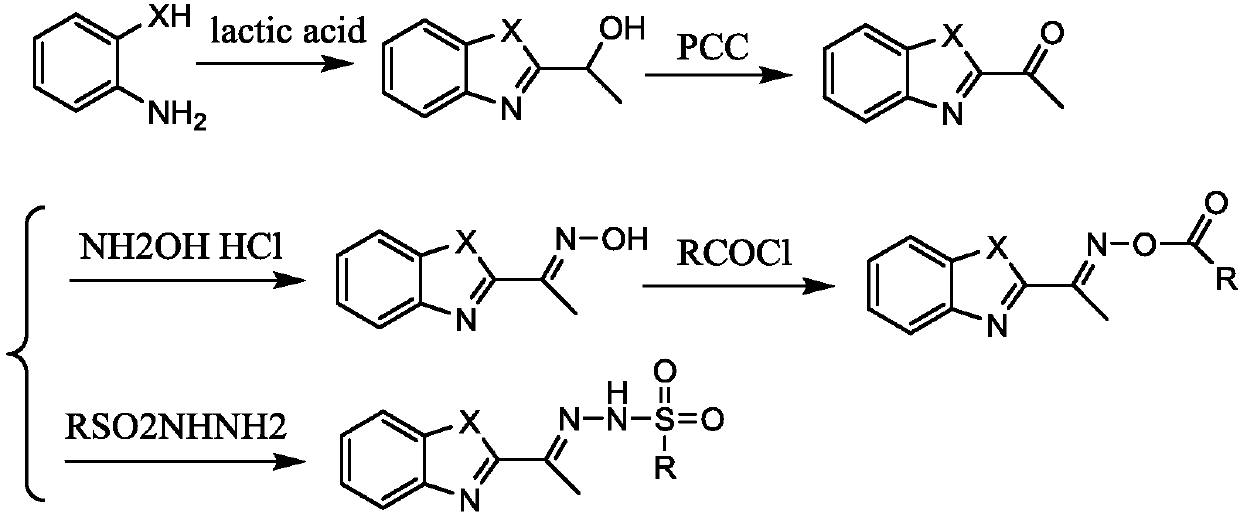 Benzoxazole-2-ethyl oxime derivate, preparation method and application thereof