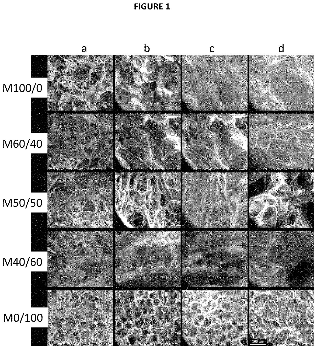 Process for preparing biocompatible and biodegradable porous three-dimensional polymer matrices and uses thereof