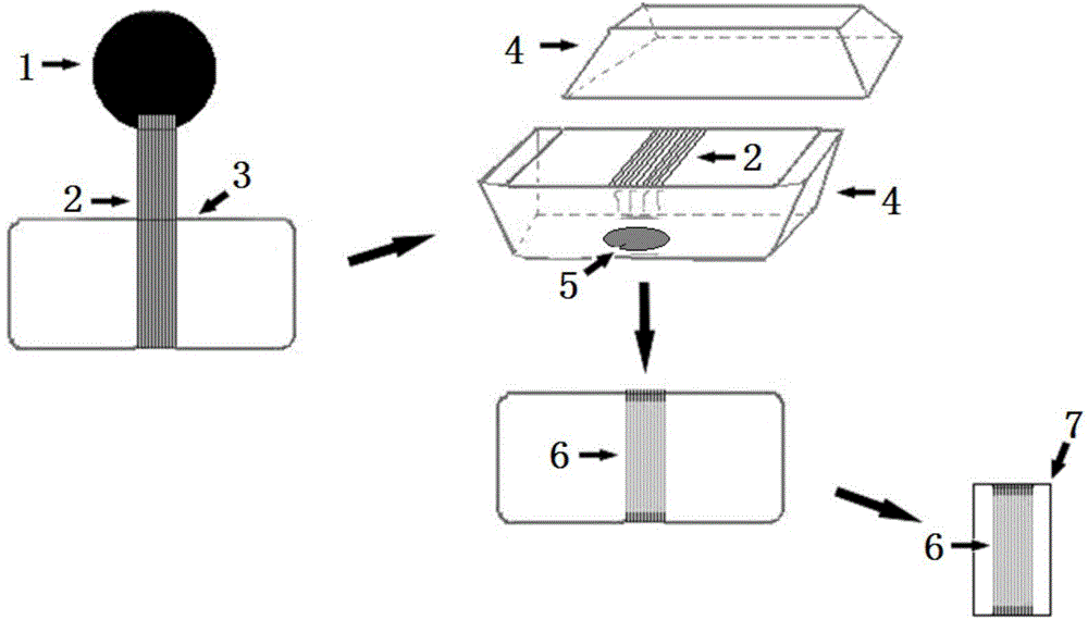 Flexible nanocarbon/zinc oxide monochromatic ultraviolet fluorescence film and preparation method and application thereof