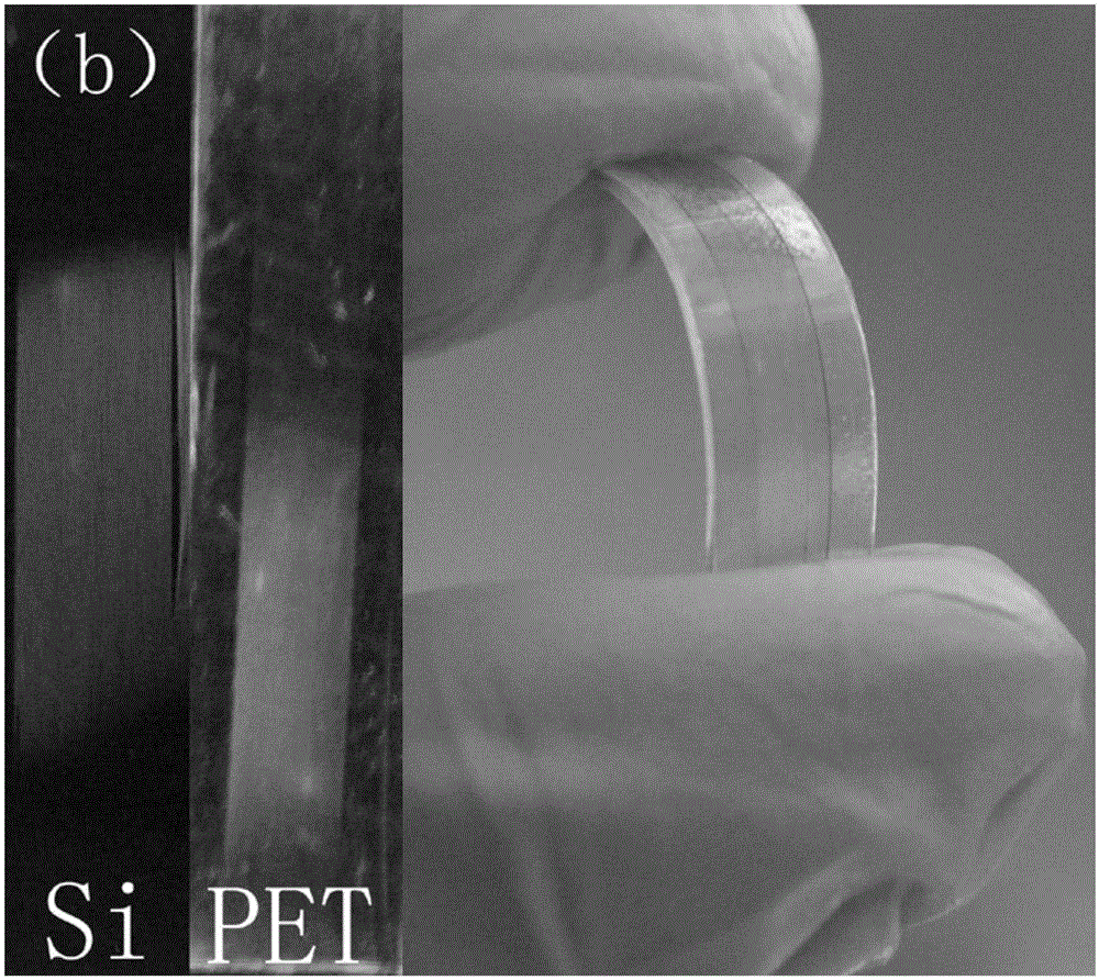 Flexible nanocarbon/zinc oxide monochromatic ultraviolet fluorescence film and preparation method and application thereof