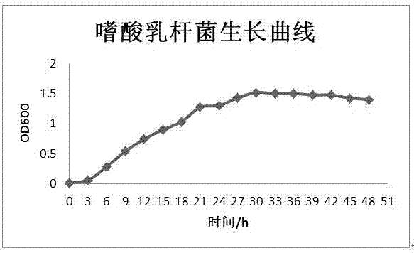 Lactobacillus acidophilus and screening method and application thereof and microbial inoculum