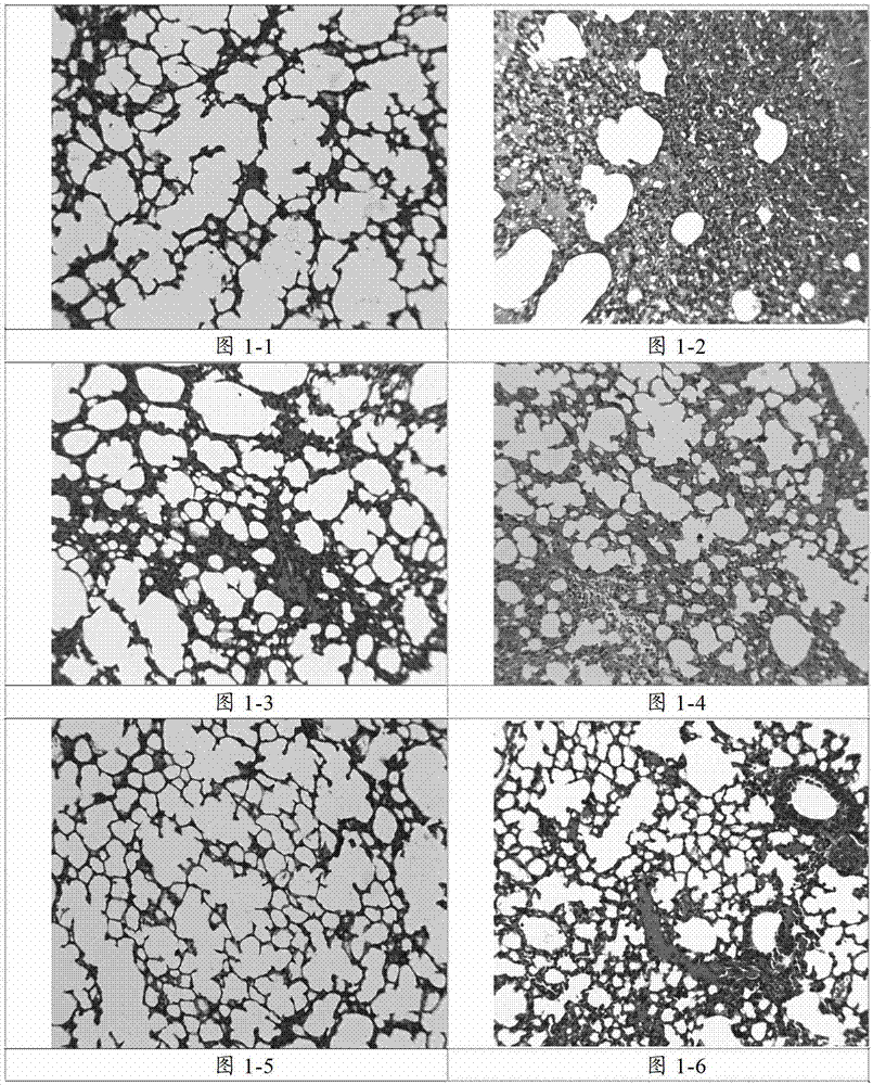 Traditional Chinese medicine composition for treating cold, as well as preparation method and application thereof